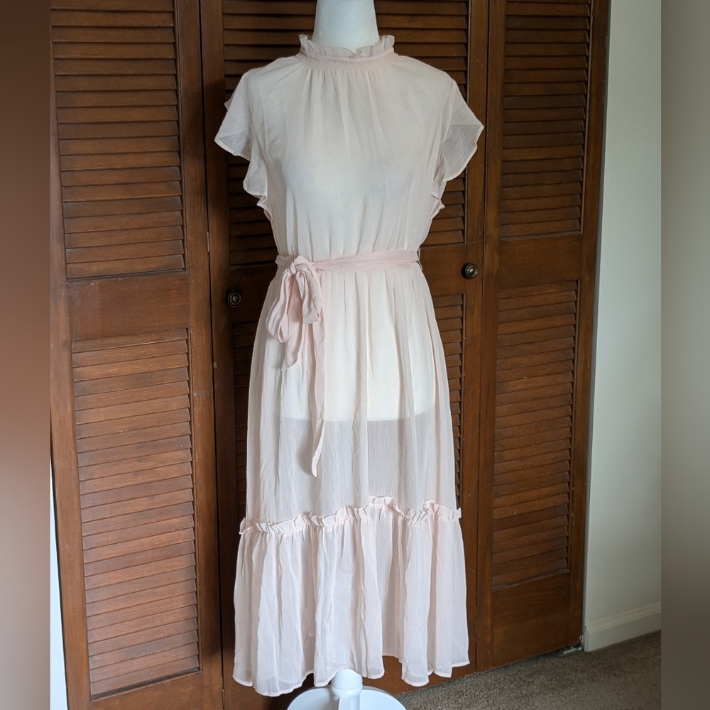 NWT Ann Taylor Sheer Blush Chiffon Midi Dress